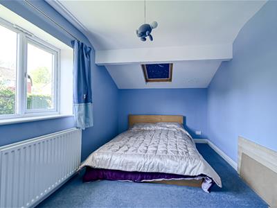 Picture 19